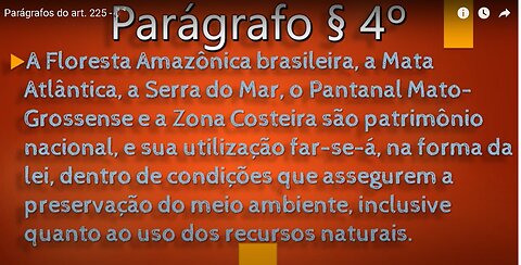 Paragraphs of art. 225 - Parágrafos do artigo 225-03