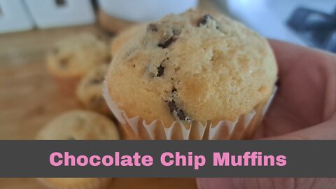 Chocolate Chip Muffins