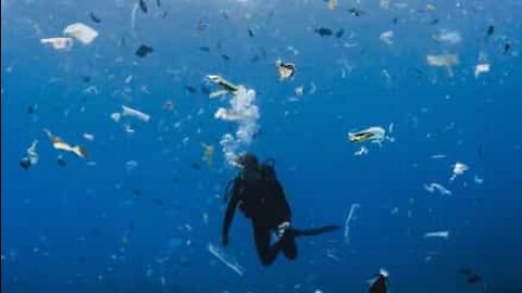 Plongeon dans une mer de déchets