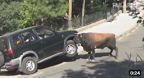 Massive Bull destroyed the car🤯 shoking.....