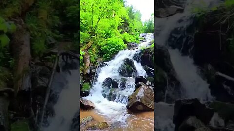 HIDDEN Waterfall #relaxingsounds #rainsounds #soundsofnature #sleepsounds #meditationsounds #shorts