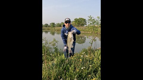 Largemouth Bass fishing in IL