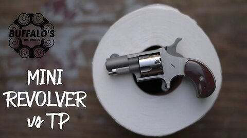 TINY REVOLVER vs A ROLL OF TOILET PAPER 🧻