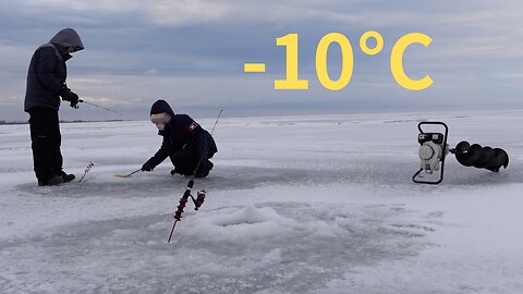 3 Days Ice Fishing for Walleye, with Underwater Camera, Very Nice Caught!