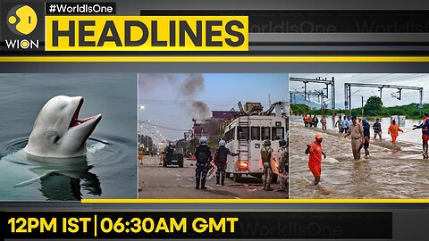 Manipur: Militants launch 'Drone Attack' | 'Russian Spy' whale found dead | Top Headlines | WION