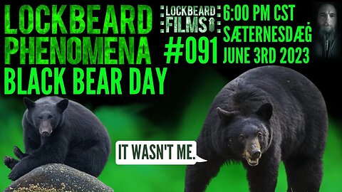 LOCKBEARD PHENOMENA #091. Black Bear Day