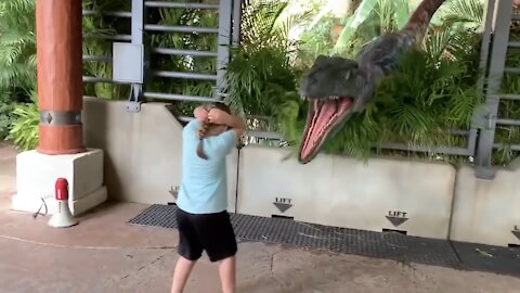 Funny Reaction of Children in the Zoo.[ 動物園の子供たちの面白い反応。]