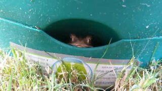 Man finds a frog in an unexpected place