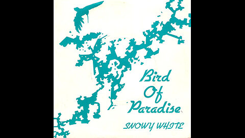 Snowy White --- Bird Of Paradise