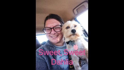 Sweet Dahlia; Tribute Video for my Cousin Cassie in Texas