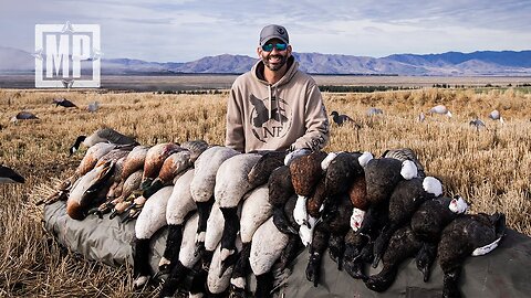 Stubble Field Hunting: New Zealand | The Journey Within - Mark V. Peterson Hunting