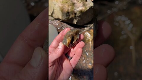 Agate or chert? River rockhounding find!