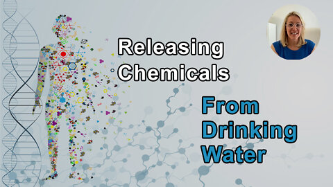 Releasing Chemicals Into Our Bodies From Drinking Water, Beer And Tea - Aly Cohen, MD - Interview