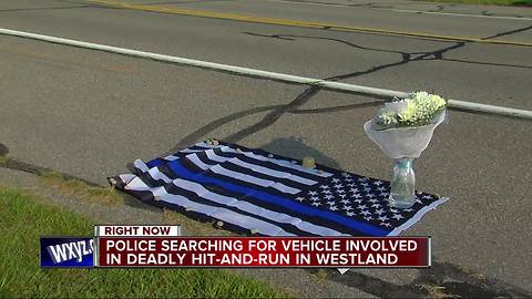 Wayne County Sheriff's sergeant hit and killed while jogging