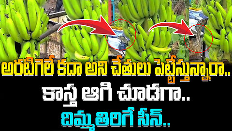 అరటిగెలే కదా అని చేతులు పెట్టేస్తున్నారా..? | Snake in the banana tree #viralvideo | FBTV NEWS