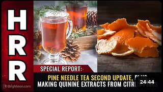 SPECIAL REPORT: PINE NEEDLE TEA UPDATE and QUININE EXTRACTS from CITRUS PEELS