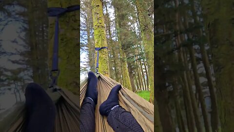 so peaceful #mentalhealth #hikingandcamping #hammocklife #peaceful #peace #hammockcamping