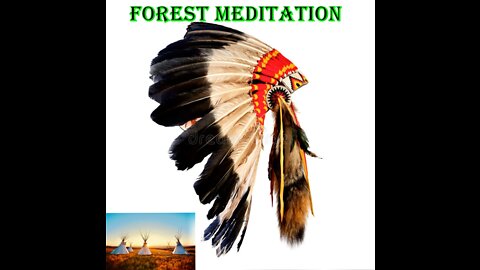 Native American Flute Forest Meditation