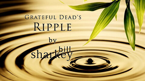 Ripple - Grateful Dead (cover-live by Bill Sharkey)