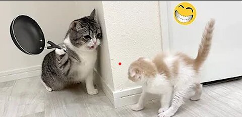 Funny Animal Videos 2023 🥰 - Funniest Dogs and Cats Videos 😁