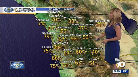 Neda's forecast: July 24, 2017