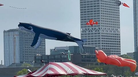 Giant kites at the Wilde Subaru Family Kite Festival