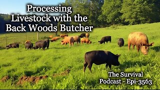 Processing Livestock with the Back Woods Butcher - Epi-3563