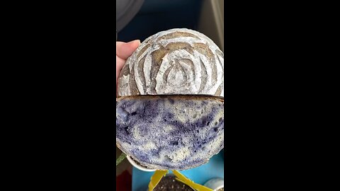 Naturally Dyed Blue Sourdough with a Perfect Little Rose Score