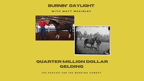 Quarter Million Dollar GELDING