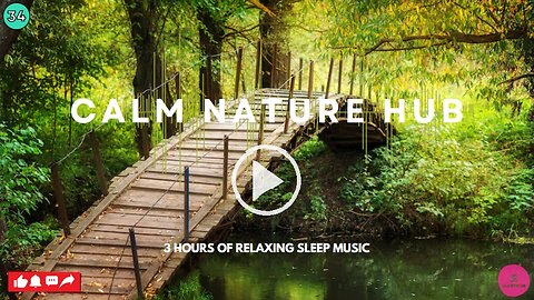 3 Hours of Serene Mountain Stream Sounds for Relaxation, Study, & #meditation | #34