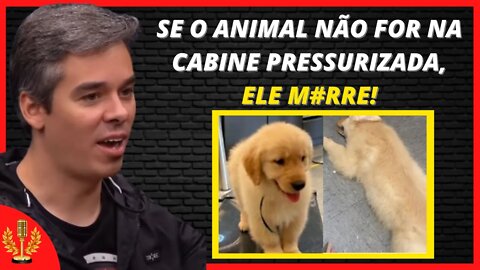 M#RTE DE CACHORRO EM AVIÃO DA TAM | Cortes News Podcast [OFICIAL]