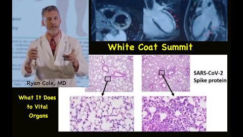 What COVID Vaccine Does To Vital Organs