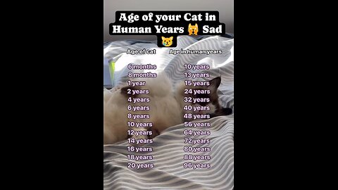 Age of your Cat in Human years. Sad to know the real age of our cute pets.😿😿😿