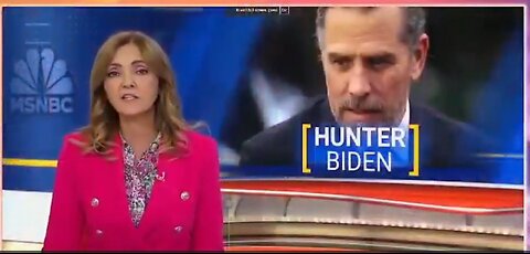 MSNBC reporting Hunter Biden Sitting in on POTUS meetings/ breifings