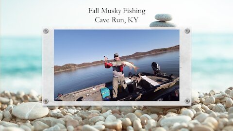 Cave Run Lake Fall Musky Fishing: 40" class fish!!