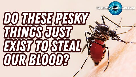 Why Mosquitoes Exist: The Hidden Truth Behind These Pesky Insects | The Curious Mind Unleashed