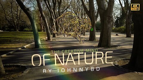 After Effects Template - The Creative mind of Nature