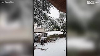 La neige tombe en Afrique du Sud en plein été