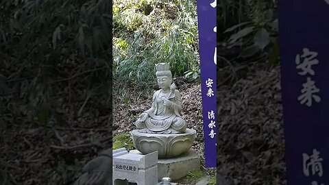 Kiyomizu Temple in Yasugi | Spring 2023 #japan