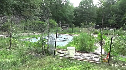 Rewiring The Chicken Electric Fence To Stop Raccoon Attacks