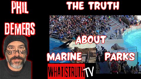 #203 Phil Demers | Truth About Aquatic Parks #marineland #Seaworld #joerogan