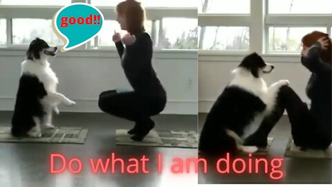 Smart dog is doing yoga with his owner.