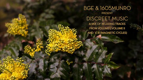 Discreet Music - a mix of relaxing BGE & 1605munro tracks