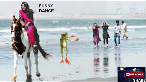 funny video frog || funny dance || funny animal || @funnyanimalsstv