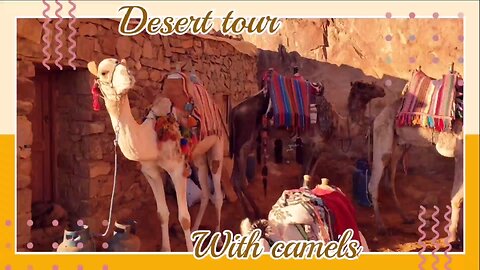 Desert Tour With Camel🐪🐫🐪 DUBAI