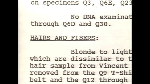 American Crime Story: The [KILL]ton Body Count ~ Vince Foster (1993) - [PT.2]