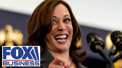 'NO OUTRAGE': Media is aiding Kamala's 'beautiful' basement strategy, journalist says