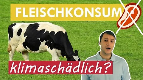 Faktencheck: Klimakiller Rindfleisch? - Klimawissen - kurz&bündig