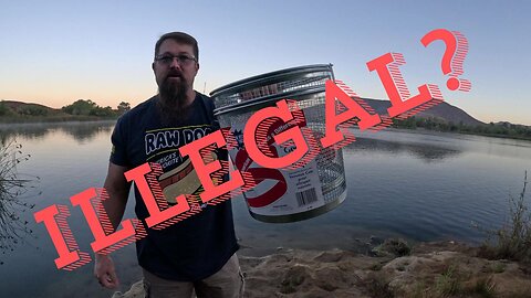 Live Minnow Trap | Freshwater Bait | Southern California | Illegal?