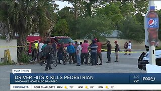 Driver in Immokalee hits and kills pedestrian